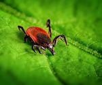 An Overview of Tick-borne Diseases