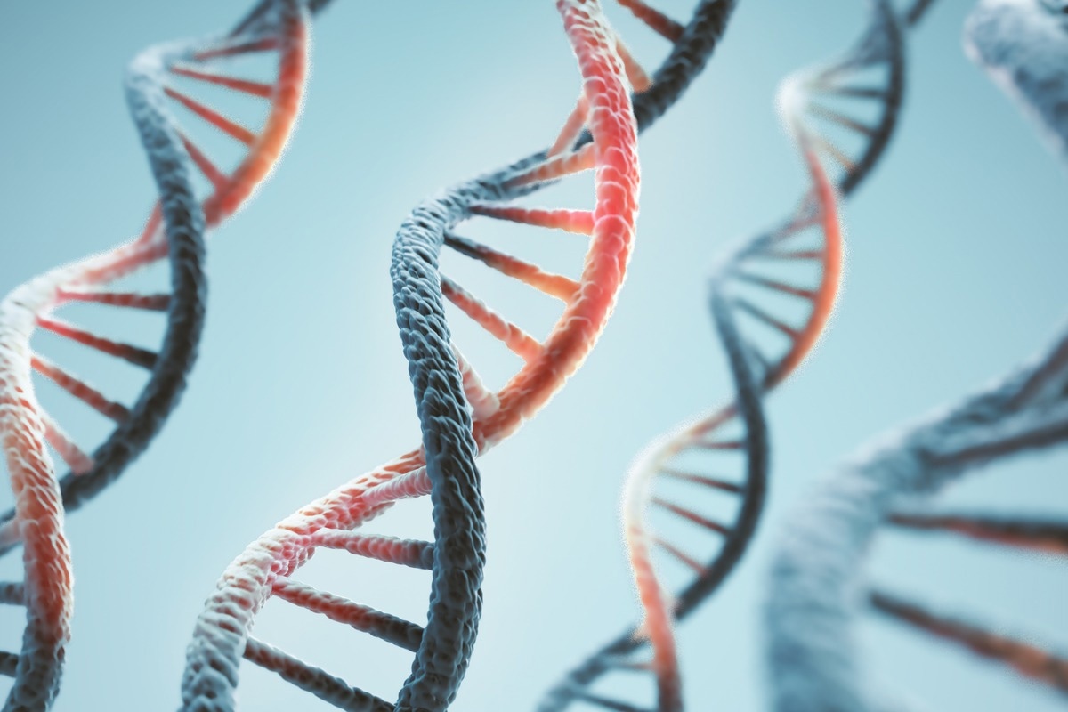 Image Credit: Anusorn Nakdee/Shutterstock.com