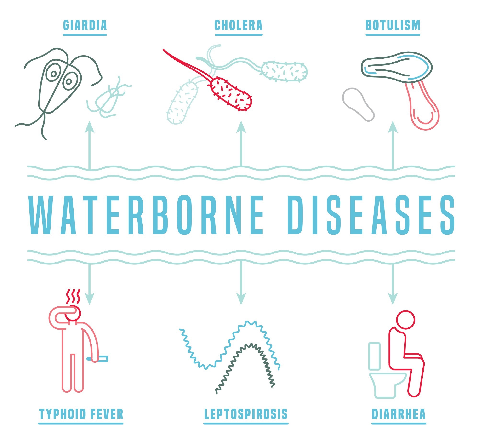 Waterborne Diseases
