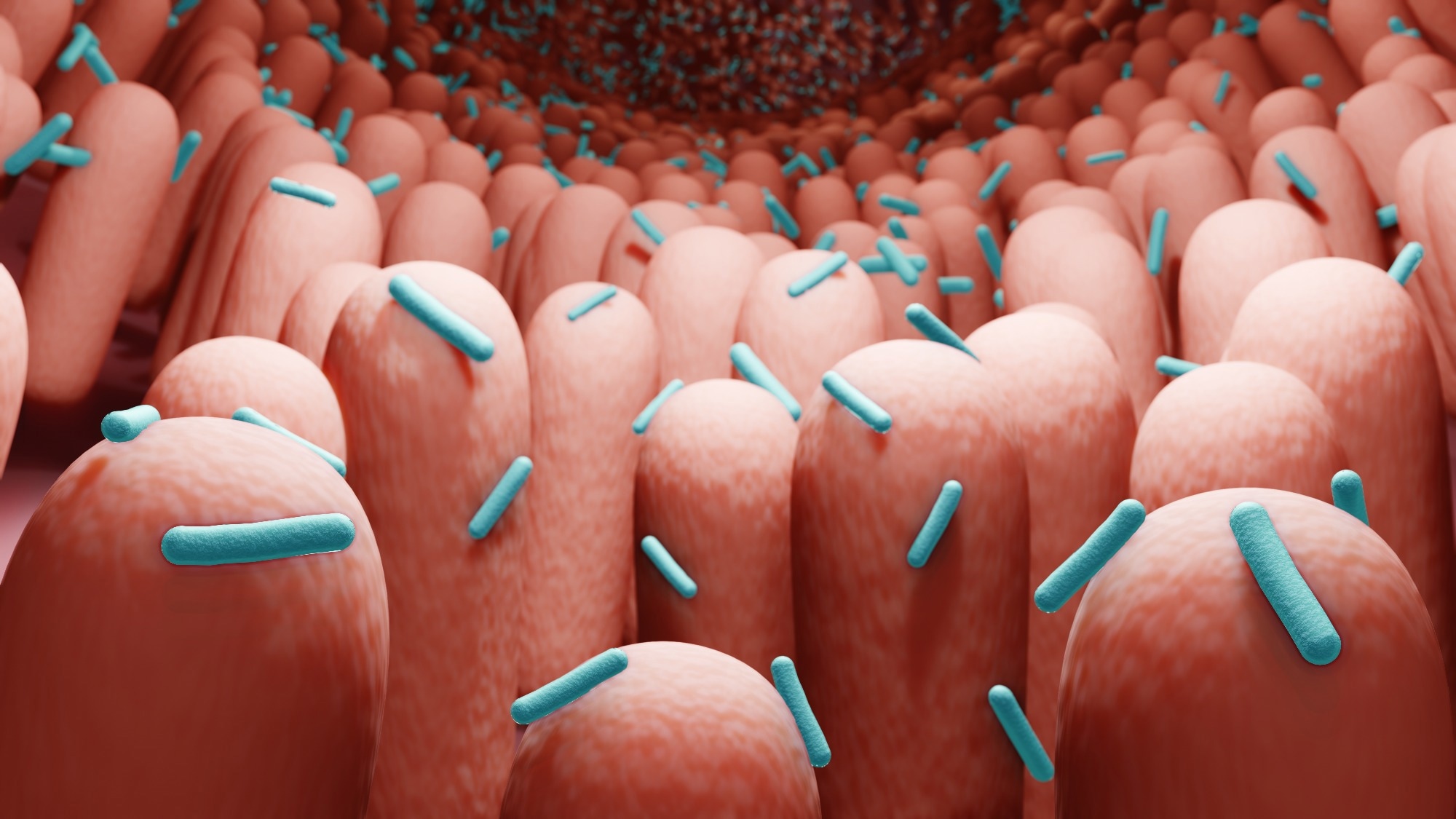 Image Credit: ART-ur/Shutterstock