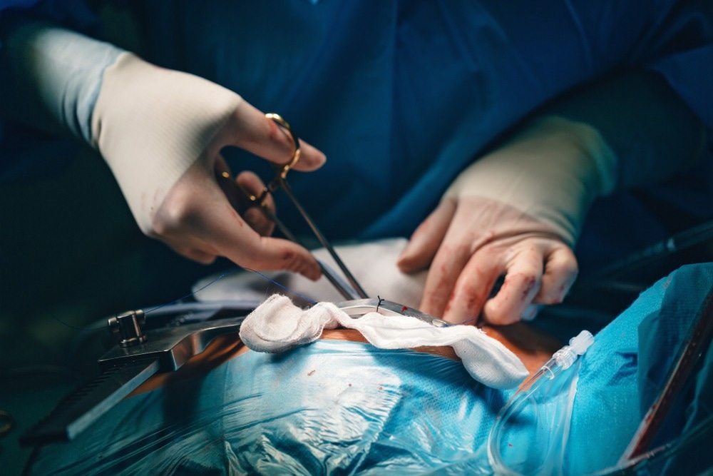 Image Credit: MAD.vertise/Shutterstock.com