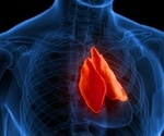 The Structure and Function of the Thymus
