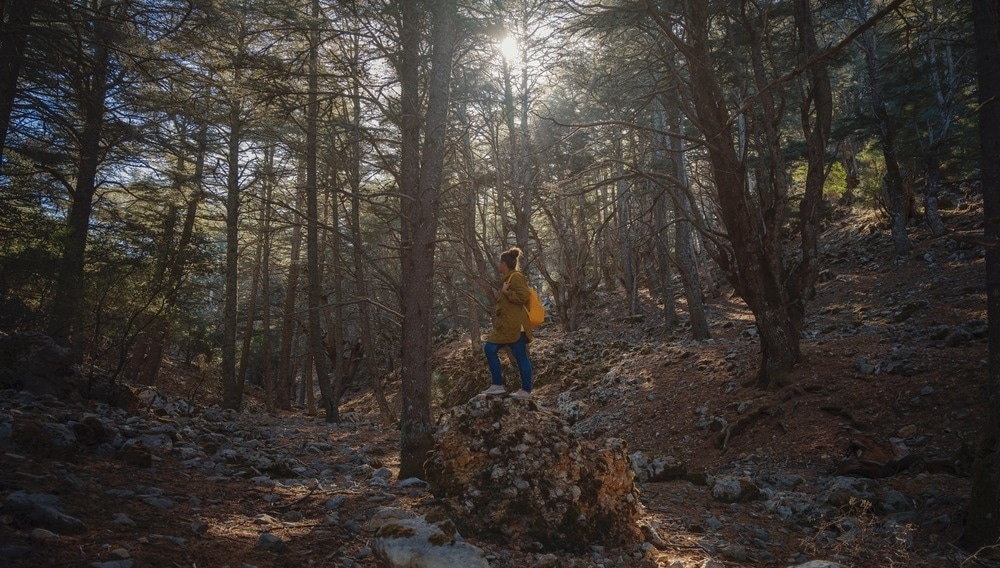 Image Credit: U__Photo/Shutterstock.com