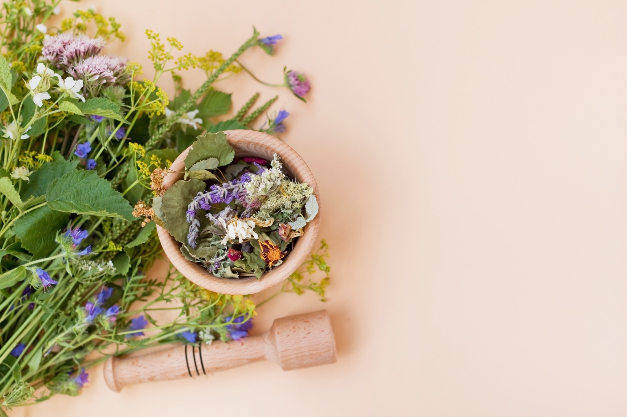 ​​Image Credit: aprilante/Shutterstock.com