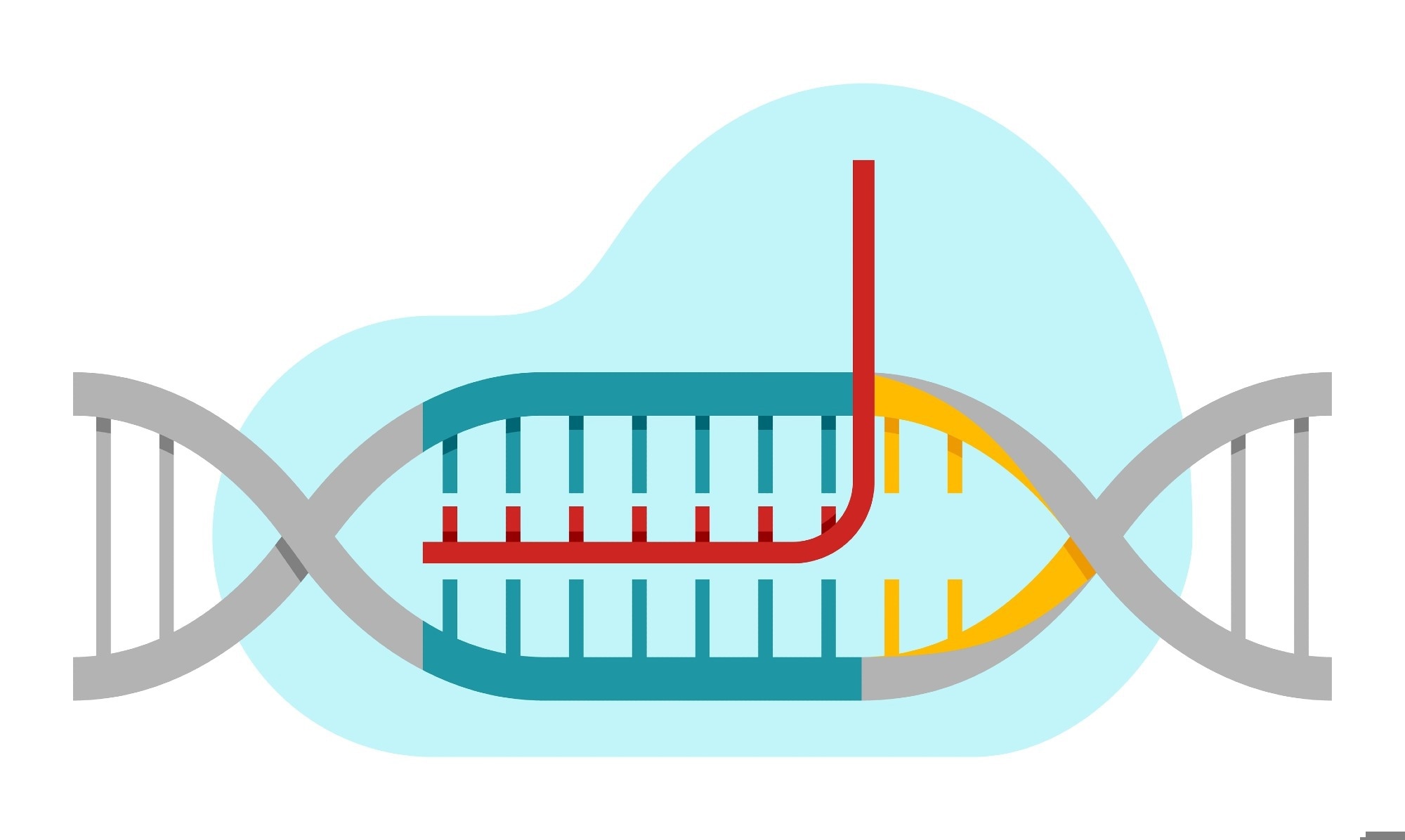 Image Credit: Dmitry Kovalchuk/Shutterstock.com