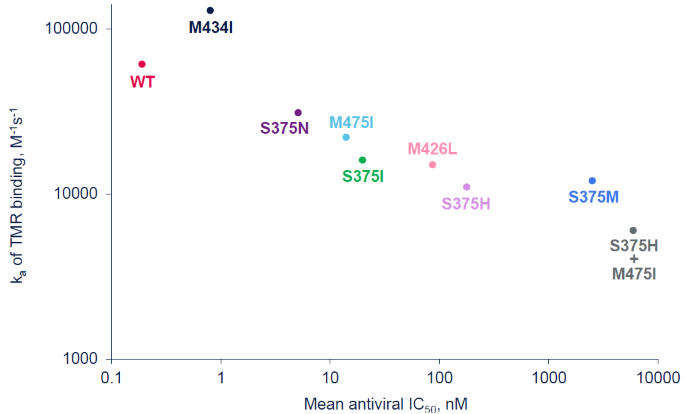 On-rate (ka) vs Antiviral IC50 Plot for gp120 Variants