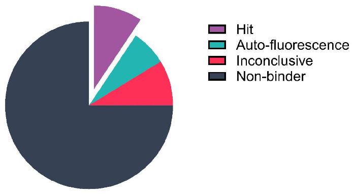 Analysis of the fragment screening data