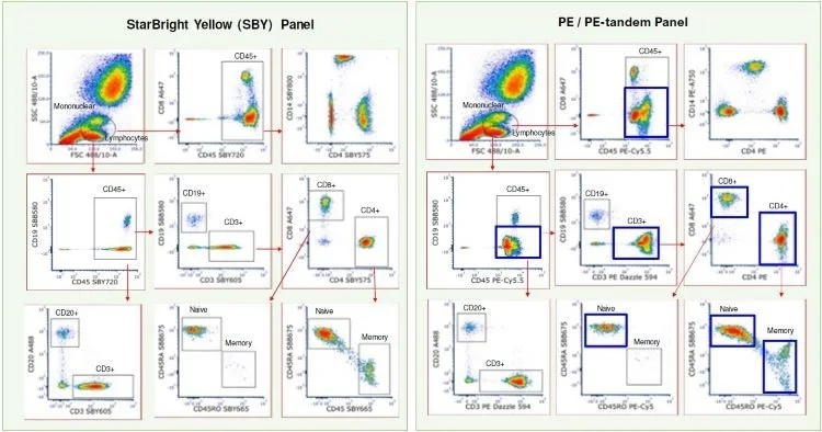StarBright Yellow 561: A reliable alternative to PE-tandem dyes