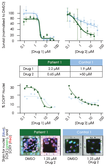 Enhancing high content imaging with SemaCyte microcarriers for multiplex assays