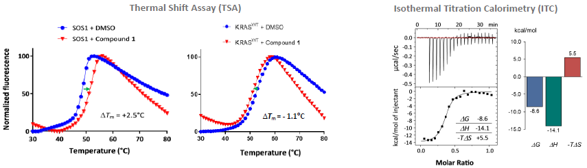 Thermal Shift Assay, Isothermal Titration calorimetry and native MS: Compound 1 identified as a SOS1 binder.