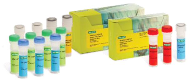 Measuring AAV capsids using VeriCheck ddPCR technoloy: A guide