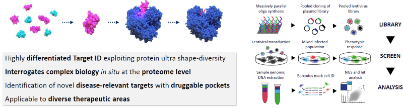 Outline of SITESEEKER® Phenotypic Screening Platform