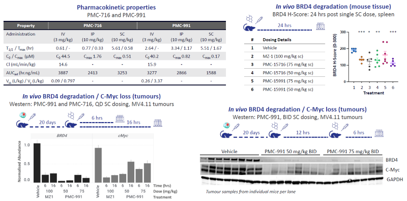 Effective in vivo degradation of BRD4 in mouse tissue and tumours