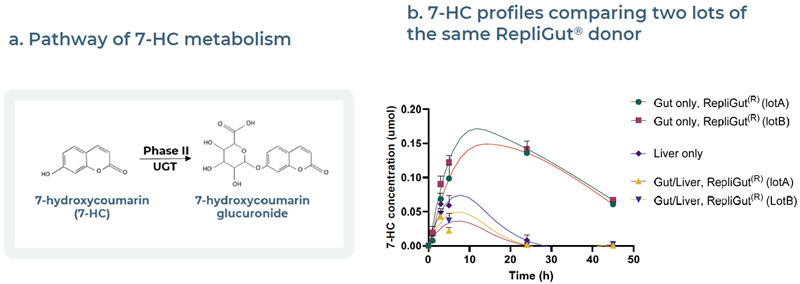 Validation with ADME test compound, 7-hydroxycoumarin (7-HC) to confirm intestinal absorption and hepatic metabolism in gut only, liver only and Gut/Liver MPS models