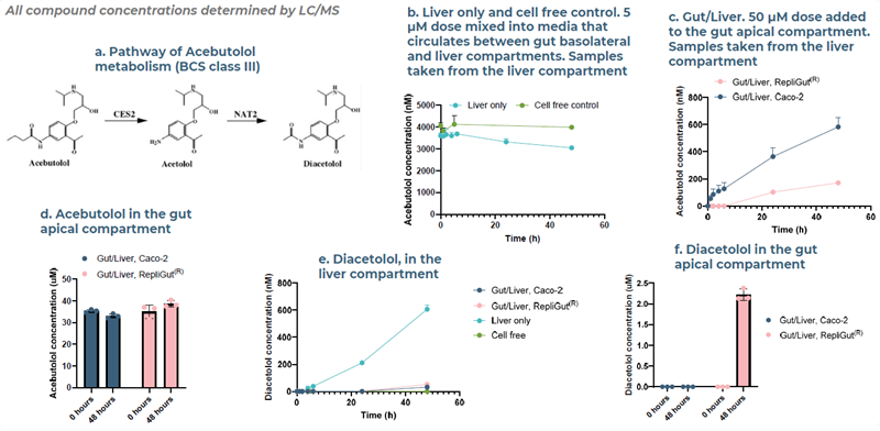 Case study 2, Acebutolol: the combination of intestinal metabolism and low permeability contribute to its low oral bioavailability. This is observed in the primary Gut/Liver MPS and correlates with acebutolol’s bioavailability in humans