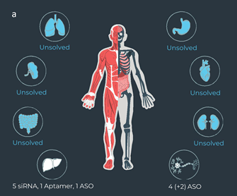 DELiveri®: A high-throughput, hypothesis-free screening platform for identifying novel delivery molecules for RNA therapeutics