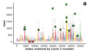 DELiveri®: A high-throughput, hypothesis-free screening platform for identifying novel delivery molecules for RNA therapeutics