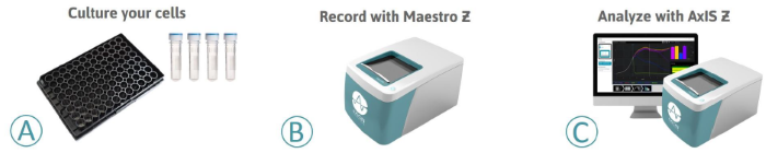 Evaluation of plate-to-plate reliability in a label-free cytotoxicity assay for dose response analysis