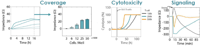 Evaluation of plate-to-plate reliability in a label-free cytotoxicity assay for dose response analysis