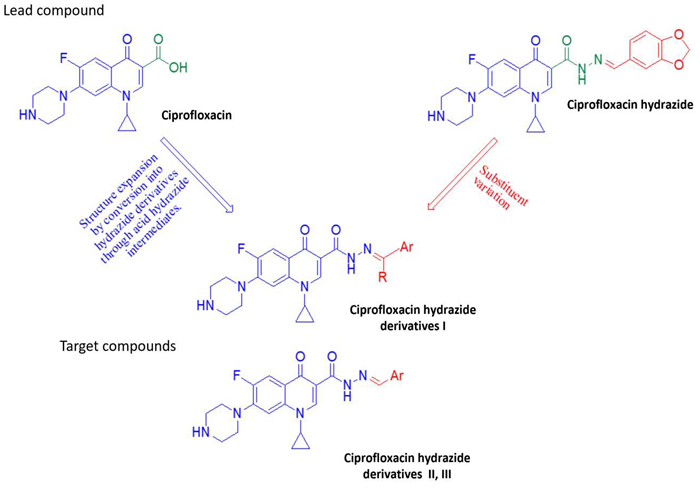Novel fluoroquinolone analogs as anticancer agents
