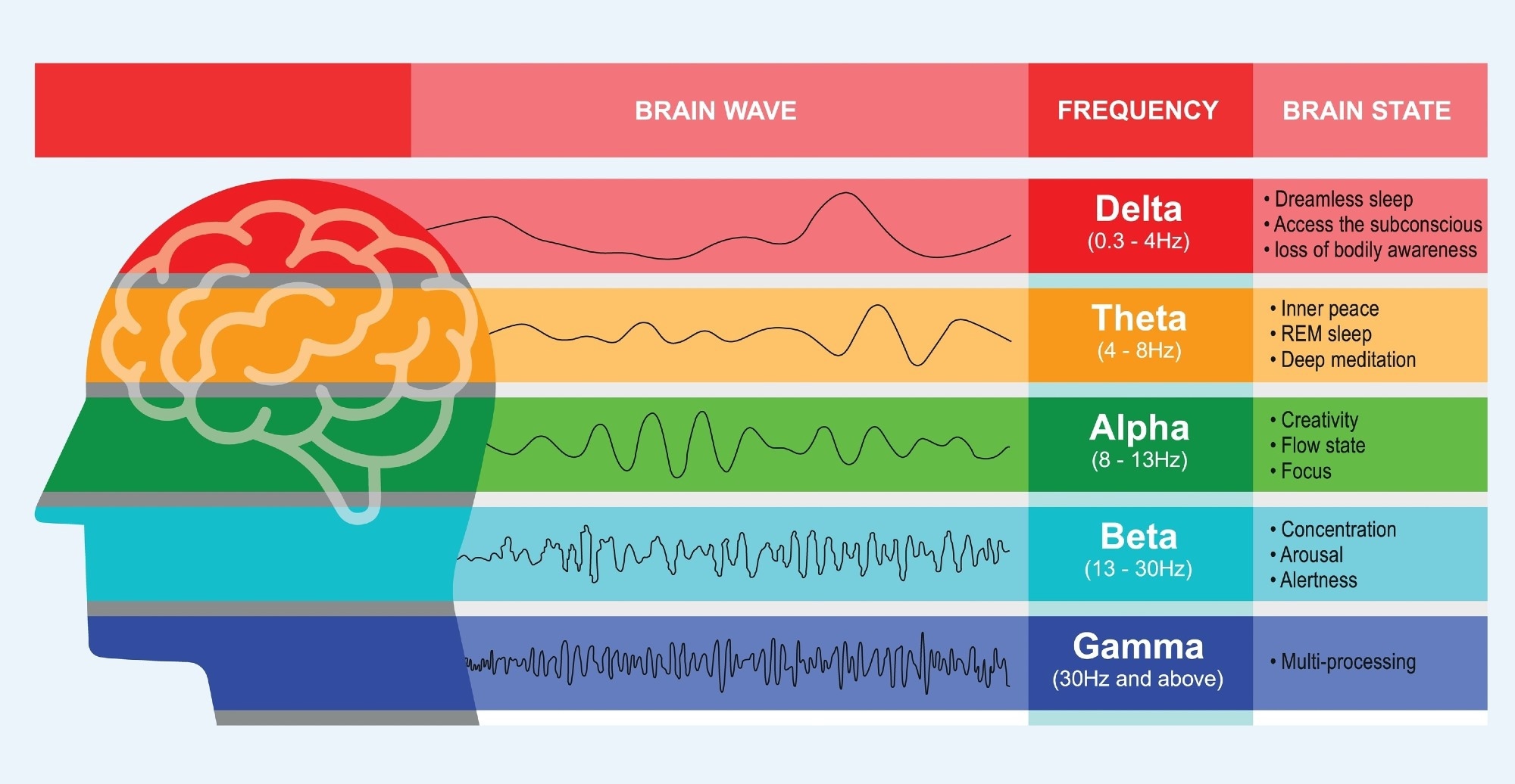 Brain wave function EEG chart