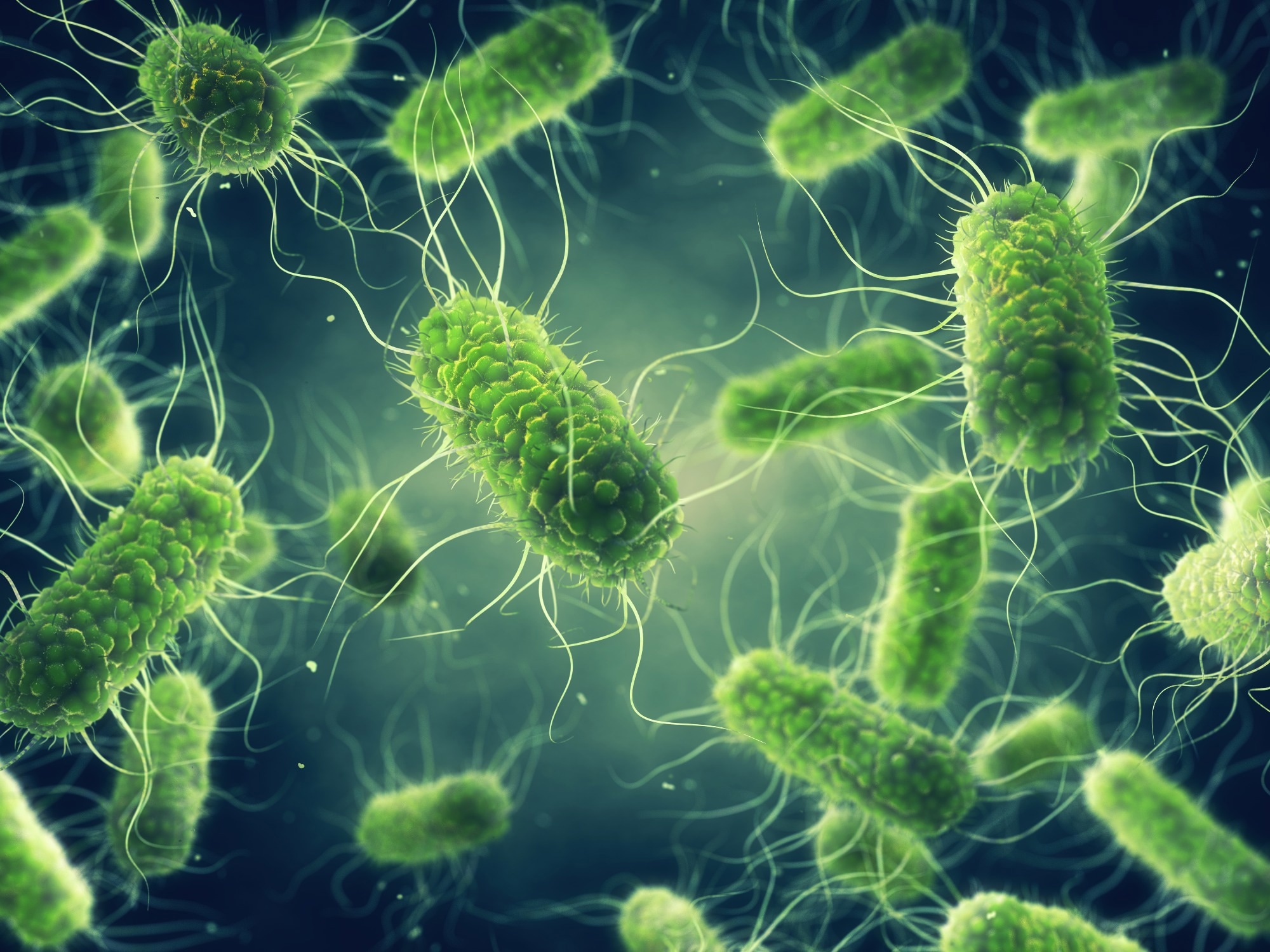 Pathogenic Salmonella bacteria illustration: Image Credit: nobeastsofierce / Shutterstock