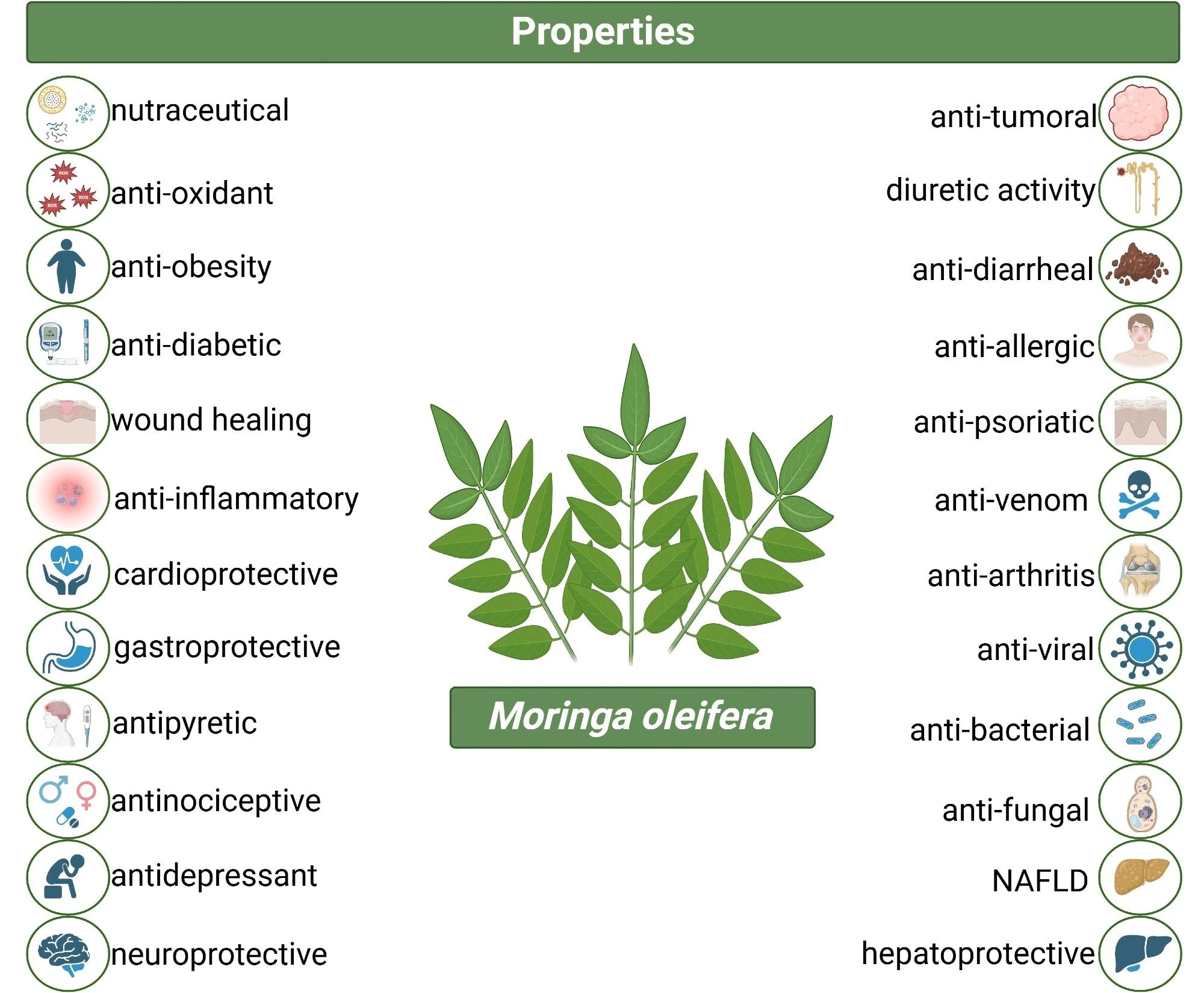 Therapeutic potential of Moringa oleifera in chronic disease management and beyond.5