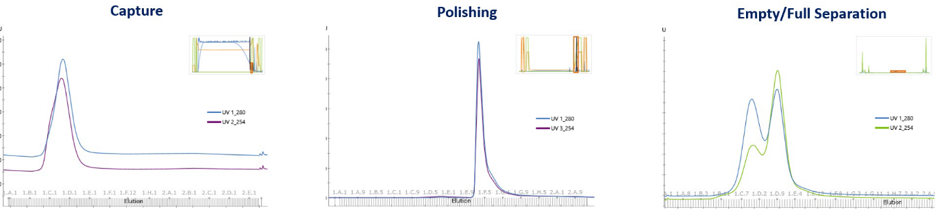 How HTPD transforms AAV process optimization and scale-up