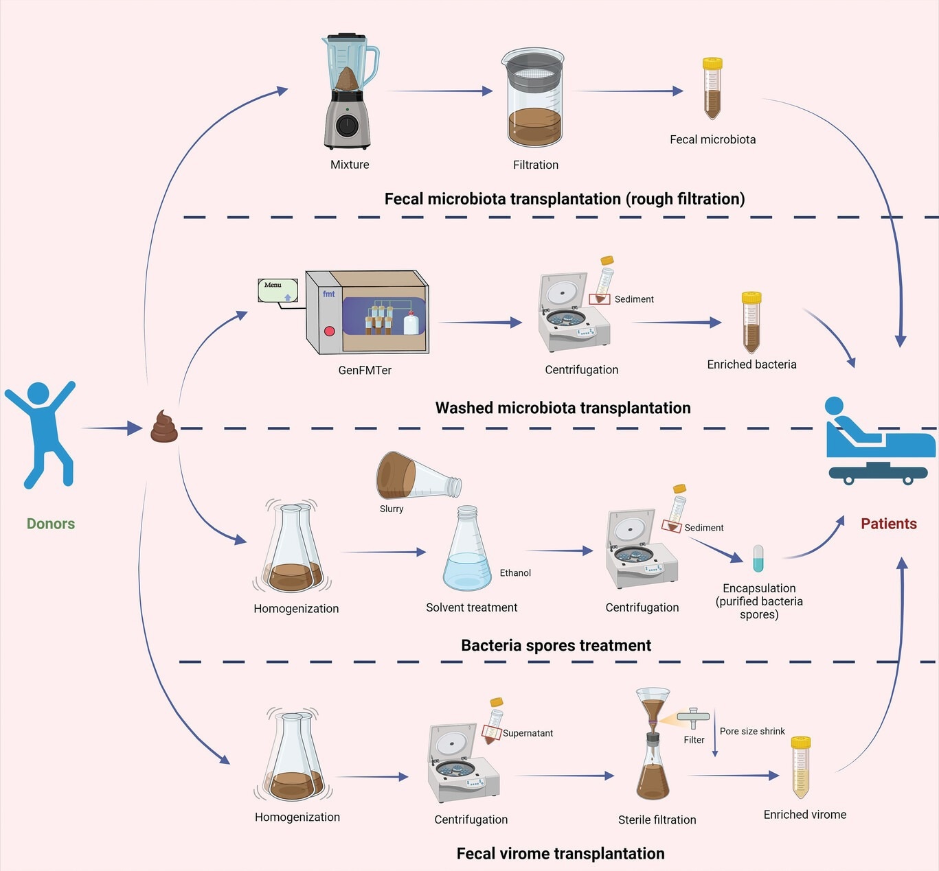 The conceptual graphs of preparation methodology for fecal transplants. The preparation methods for fecal transplants: fecal microbiota transplantation (rough filtration), washed microbiota transplantation, bacteria spores treatment, and fecal virome transplantation.15