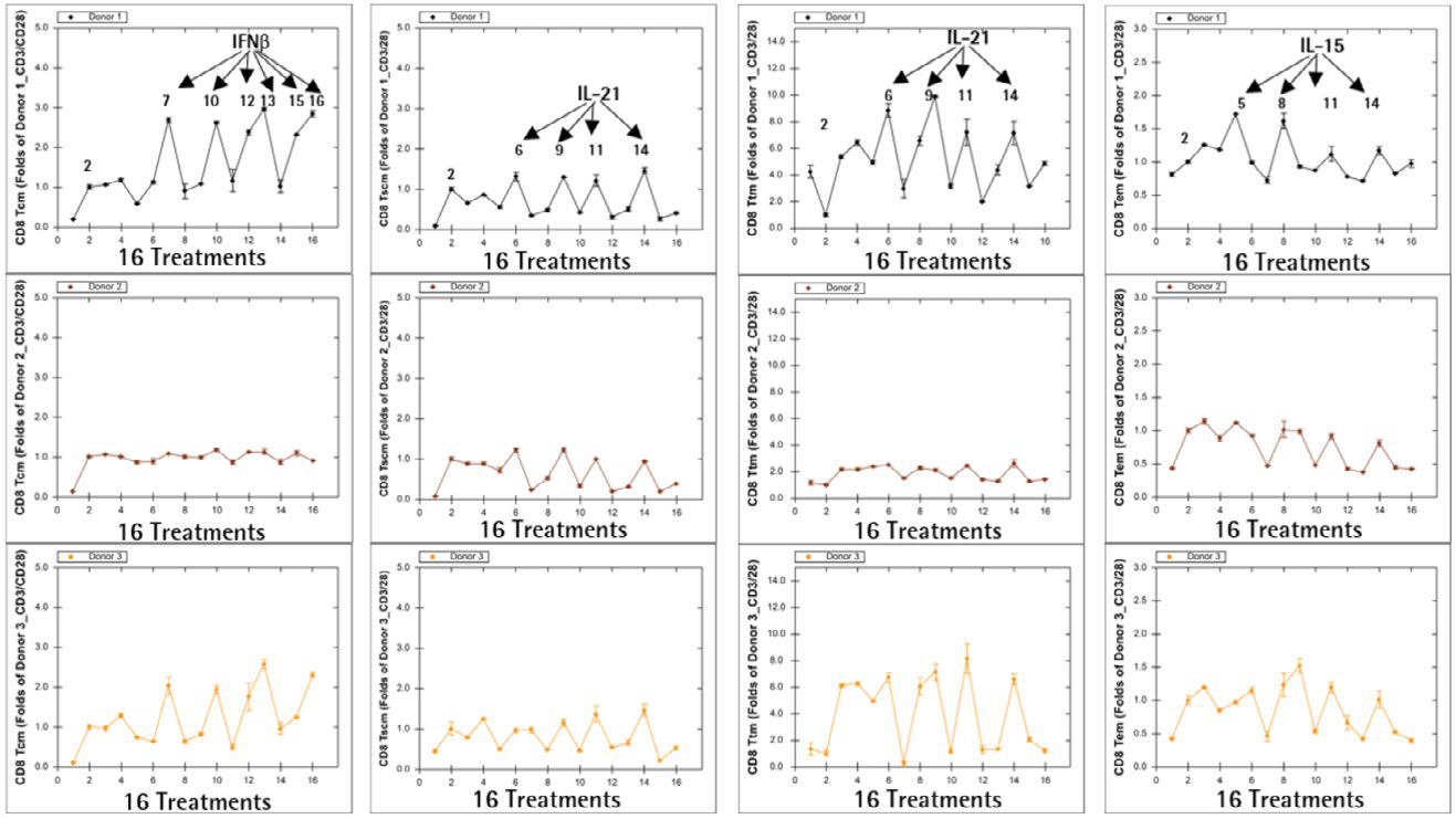 Donor-to-donor variation in ex vivo T cell expansion
