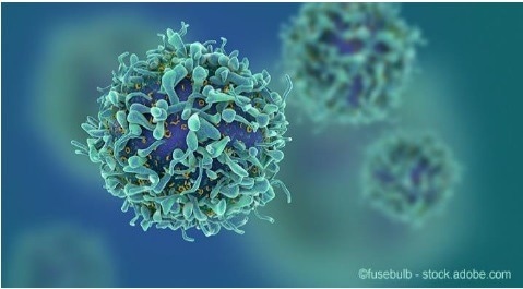 Using nano-force tools to dissect T cell mechanosensing