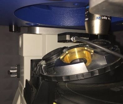 The role of molecular interactions in cell differentiation and cancer invasion