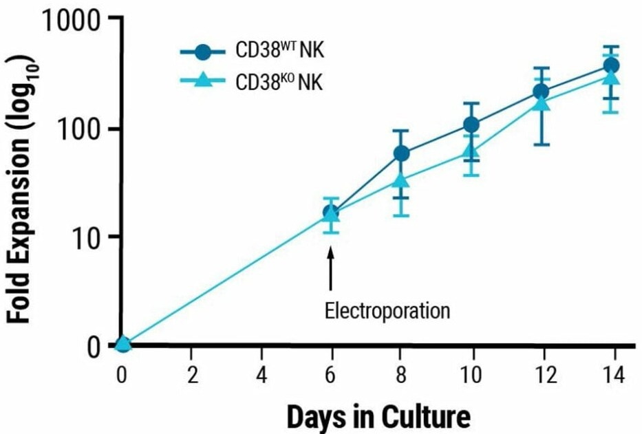 NK cell engineering with MaxCyte®
