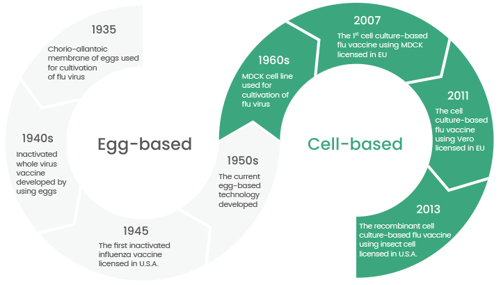 An alternative to fertilized chicken egg influenza vaccine production