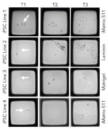 How to make iPSC cloning more efficient?