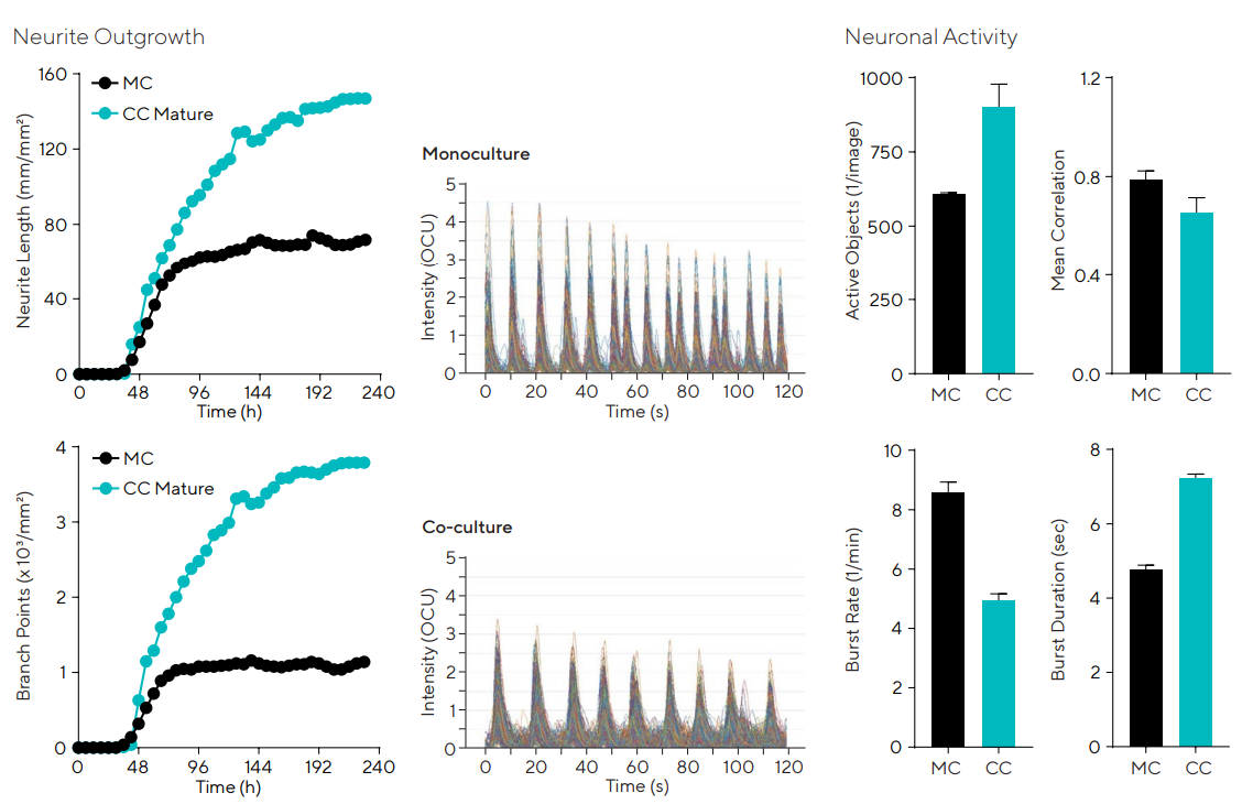 iPSC neurons co-cultured with mature astrocytes yield greater outgrowth and branching and neuronal network activity is modified. Network activity in neuron-astrocyte co-culture differs from monocultures, displaying a reduced frequency of longer-lasting burst rates (characteristic of a more mature neuronal network through the development of a network’s ability to fire trains of APs). N = 12. Traces and bar charts are 23 days post-infection