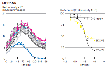 Kinetic quantification of ADCC immune cell killing of HER-2 positive multi-spheroids. Tumor cells were seeded in flat bottom 96-well plates (1,000 cells/well on a bed of Matrigel) and allowed to form multi-spheroids (MS) for 3 d. Once formed, MS were co-cultured with freshly isolated PBMCs (E:T, 5:1) and treated with serial dilutions of Herceptin. Time-courses show multi-spheroid death quantified as a loss of fluorescence intensity within the spheroid brightfield object. Concentration response curves to Herceptin show sensitivity differences between HER2-positive multi-spheroids (SKOV3 and BT-474). Treatments targeting T cell populations (Anti-CD3 and IL-2, 10 ng/mL) induced maximal MS cytotoxicity across all cell types. Data were collected over 10 d at 6 h intervals. Each data point represents mean ± SEM,