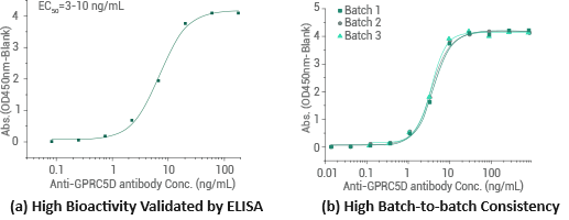 Graphs illustrating (a) the binding of immobilized recombinant Human GPRC5D-VLP (full length) proteinat at 5 μg/mL (100 μL/well) binding to anti-GPRC5D antibody and (b) the binding of proteins from different batches exhibiting minimal batch-to-batch variability.