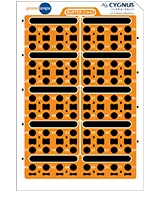 Adeno-associated virus characterization