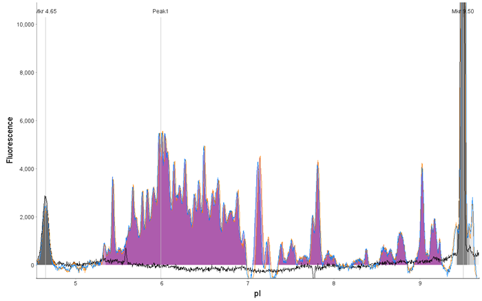 Analysis of LVV by CE-SDS and icIEF. LVV (1 x 109 TU/mL) was analyzed as described in the methods and compared to a blank by (A) CE-SDS Plus and (B) icIEF. Both methods offer rapid and unique fingerprints of the LVV capsid proteins.