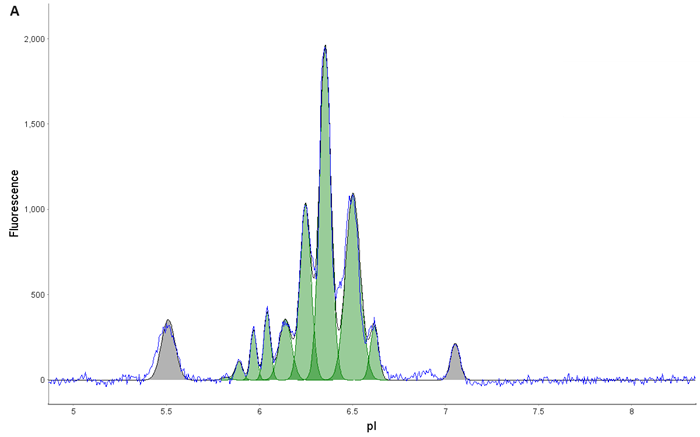 AAV9 Capsid Protein Fractionation. (A) AAV9 was loaded onto a Flex cartridge. (B) Capsid proteins mobilized out of the window within 30 min. (C) Fractions were checked on an icIEF cartridge to ensure isolation of individual acidic (VP1), main (VP3), and basic (VP2) species.
