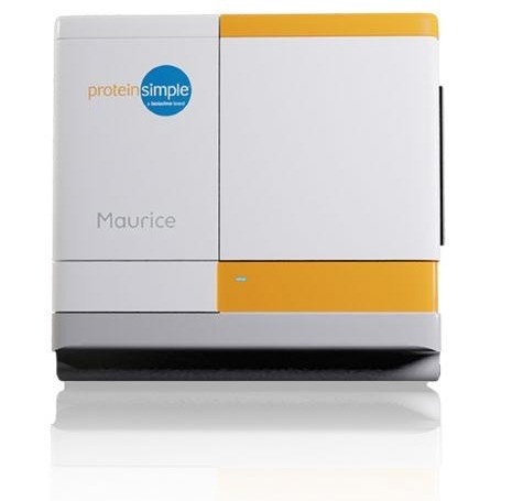 How to power up your biotherapeutic protein analysis