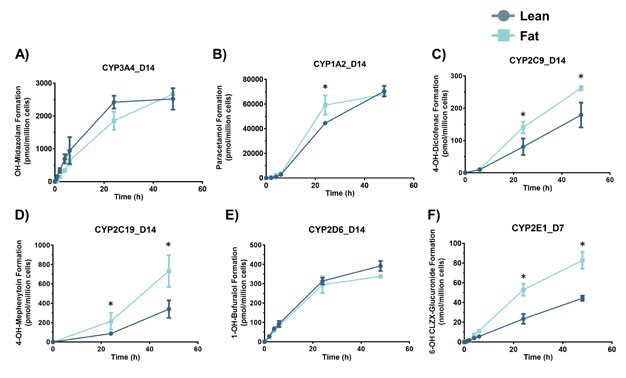 Hepatocytes in NAFLD model have altered metabolic activity.
