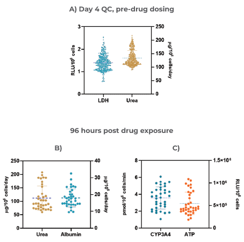The Liver MPS produces highly reproducible data and consistent microtissues. A) 3D Liver microtissue quality control (QC) metrics at Day four (Mean ± standard deviation (SD), N = 360); Functionality assessment at the end of the drug dosing (96 hrs) – B) Albumin and Urea, and C) CYP3A4 and ATP. Data was collected from 12 individual experiments; for each experiment three vehicle control replicates were used (data shown are Mean ± SD, N = 36). 