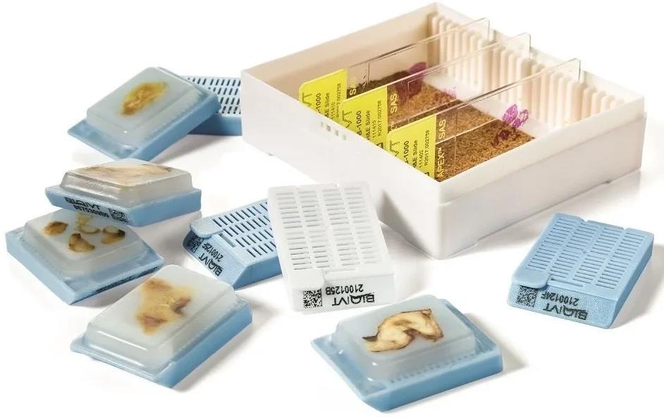 Tissue fixation and downstream analysis