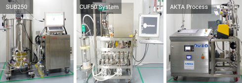 Comprehensive toolkit for advanced CAR-NK cell therapy innovation