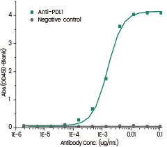 Anti-PDL1 Antibody binds the Human PDL1 Protein (His Tag),