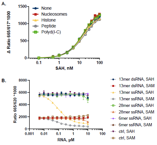 Toleration of MT Acceptor Substrates. A. 100 nM SAH-SAM standard curves were set up in the presence of nucleosomes (10 ng/µL), histone H3-3 (3 ng/µL), Histone H3 (1-21) peptide (10 µM), and Polyd(I-C) (2.5 mU/µL); control wells lacked a MT substrate. B. RNA titrations at 100 nM SAH or 100 nM SAM; control wells lacked RNAs. dsRNAs do not interfere with the assay while some ssRNA sequences interfere with the detection.