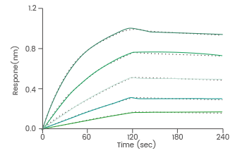 BLI assay: Loaded anti-MSLN antibody on ProA Biosensor can bind human Mesothelin protein.
