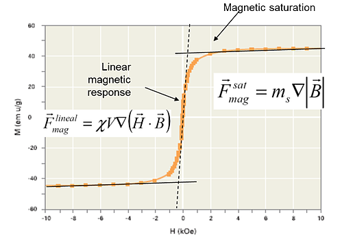 Magnetic beads in biotechnology: Principles and applications